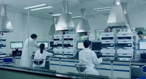 當(dāng)醫(yī)藥巨頭跨界營養(yǎng)品 三十年經(jīng)驗如何重塑熱能產(chǎn)品研發(fā)新范式