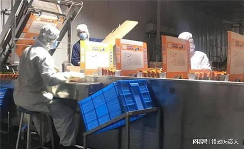 匠心鑄就康莊道 河南商人的方便面王國與社會擔當