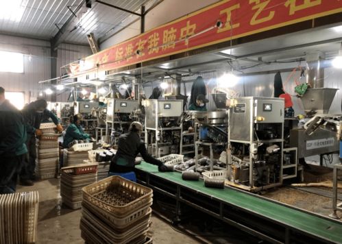 牡丹江市村集體招商項目第1期 聚焦教育領域，打造鄉村發展新引擎